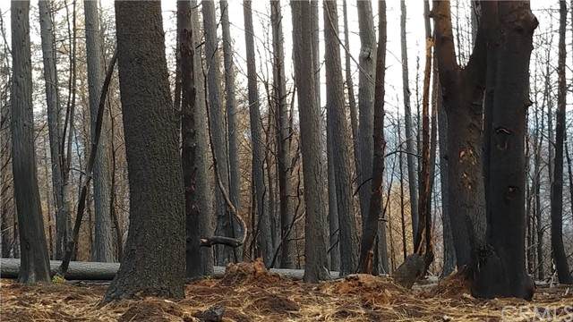 0 Stephens Ridge - Photo 1