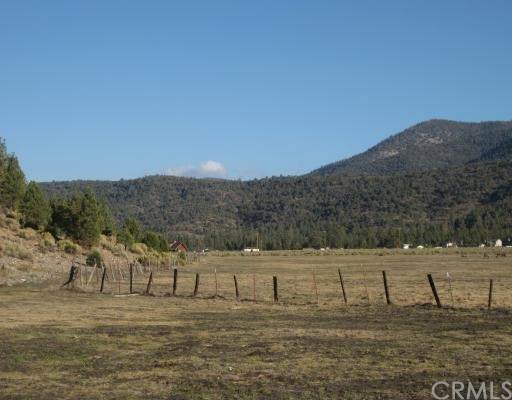 2151 Erwin Ranch - Photo 1