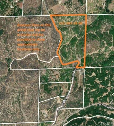 0 Harris Truck Trail 23.47 Acres - Photo 1