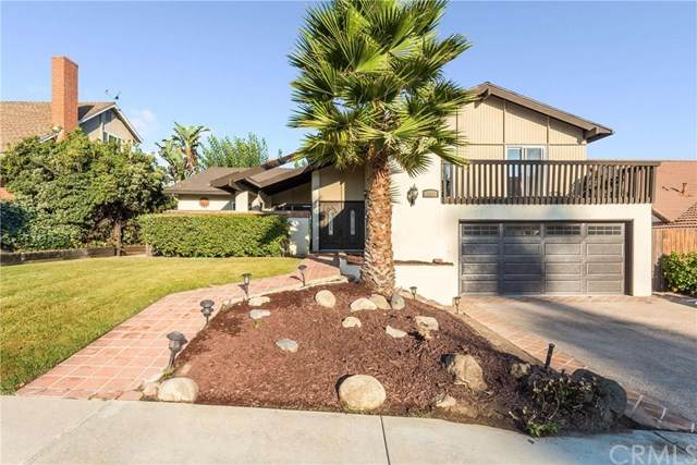 26442 Veracruz Lane - Photo 1
