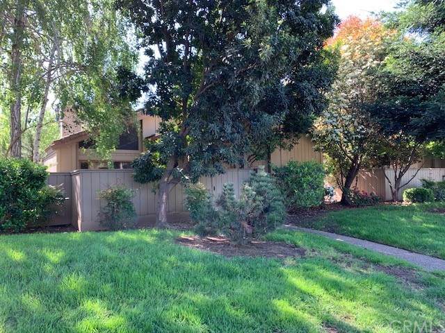 35 Pebblewood Pines Drive - Photo 1
