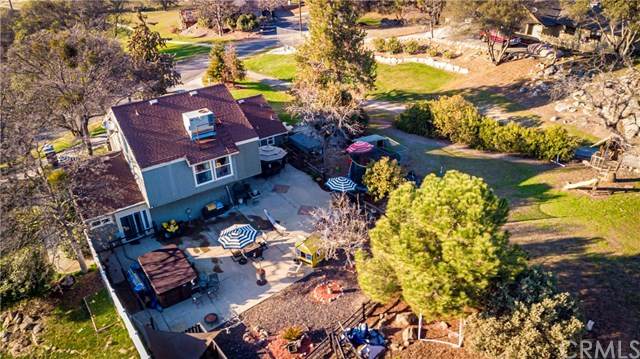 42745 Badger Circle Drive - Photo 1