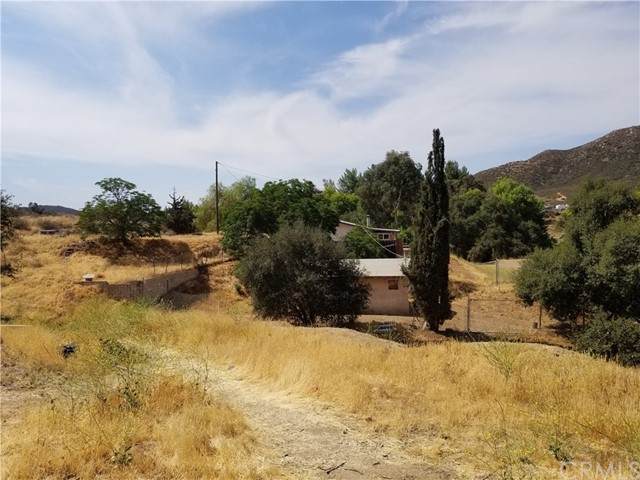 0 Yucca - Photo 1