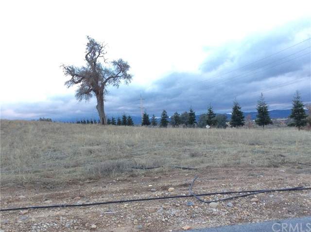 1280 Fire Rock Loop - Photo 1