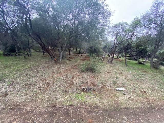 9739 Broadmoor Way - Photo 1