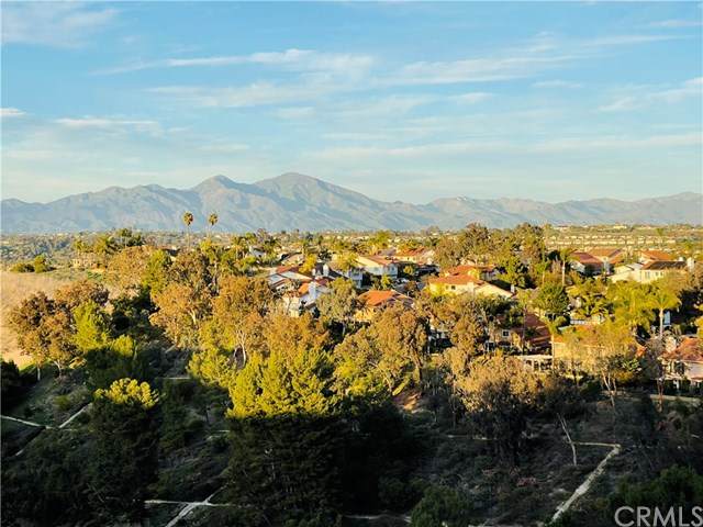 28622 Point Loma - Photo 1