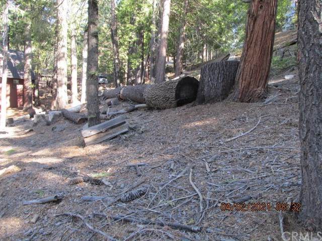 7245 Yosemite Park - Photo 1