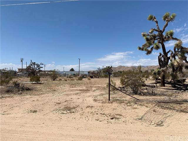 7248 Scarvan - Photo 1