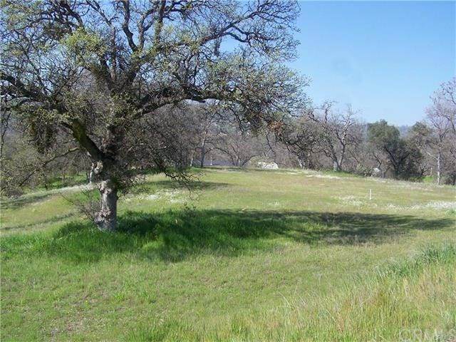 0 River Oaks - Photo 1
