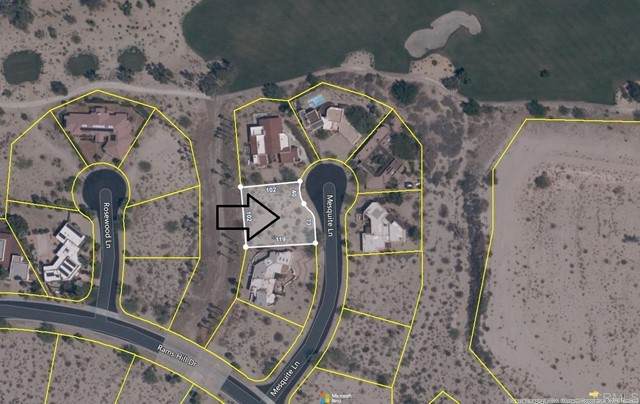 Mesquite - Photo 1