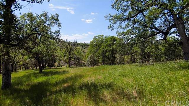 123 Rancheria Creek Road - Photo 1