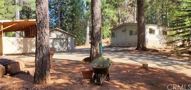 15238 Rain Forest Lane - Photo 1