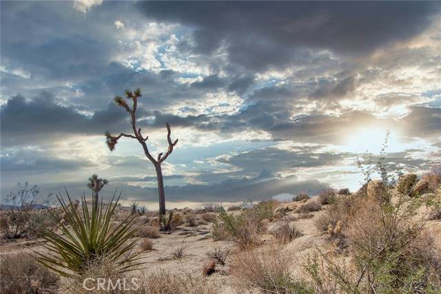 5890 Olema Road - Photo 1