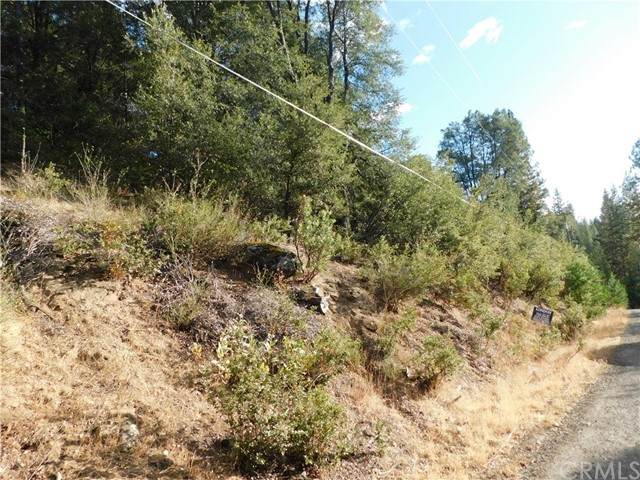 0 Cedar Ridge - Photo 1