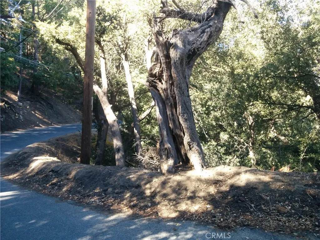 https://bt-photos.global.ssl.fastly.net/sandiego/orig_boomver_2_305030440-1.jpg