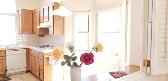 2507 Whispering Palms Loop - Photo 1