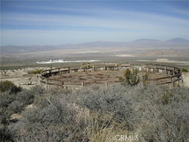 33164 Rose Amber - Photo 1