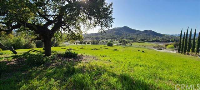 43312 Tenaja Rd - Photo 1