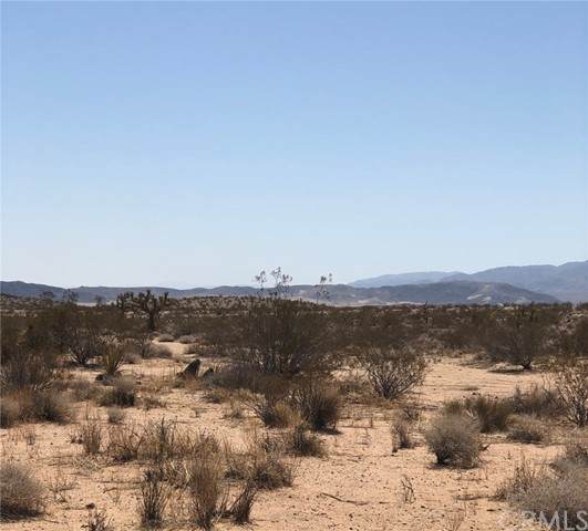 59926115 Cielito Ave - Photo 1