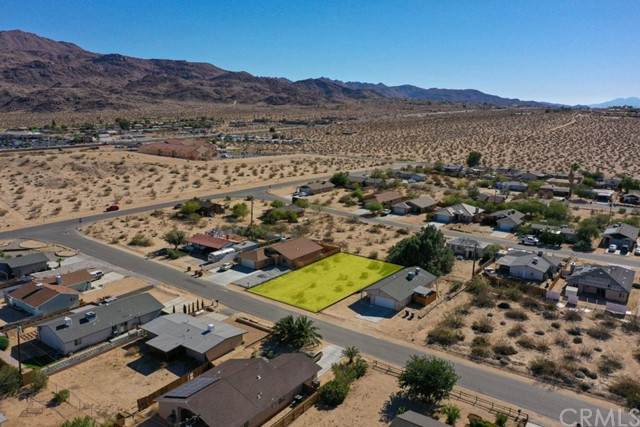6256 Baileya - Photo 1