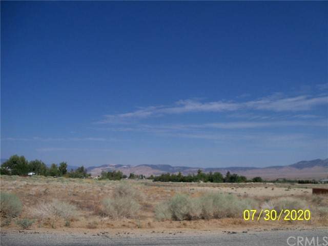 21 Vac/Cor 249 Stw Drt /Ave B11 D - Photo 1