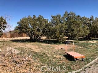 9350 White Rd - Photo 1