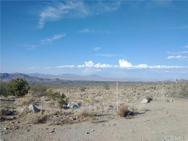 0 County Road 21828 - Photo 1