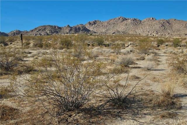 4 Twentynine Palms - Photo 1