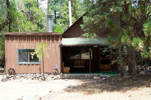 31 Barton Flats Trail - Photo 1