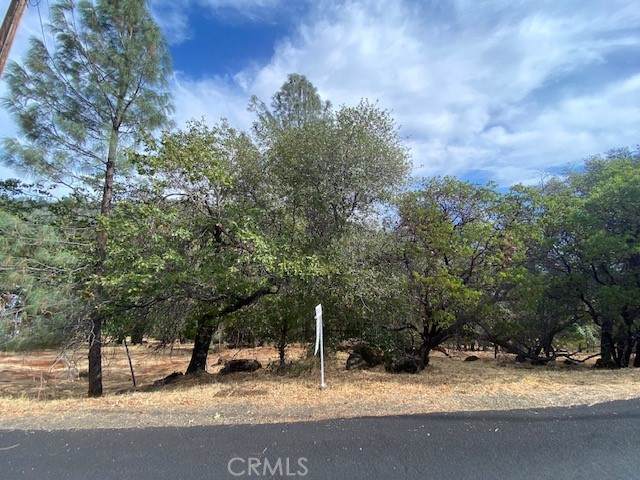 17685 Deer Hill - Photo 1