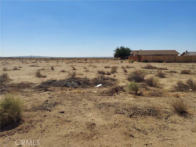 0 Catalpa Ave #1 - Photo 1