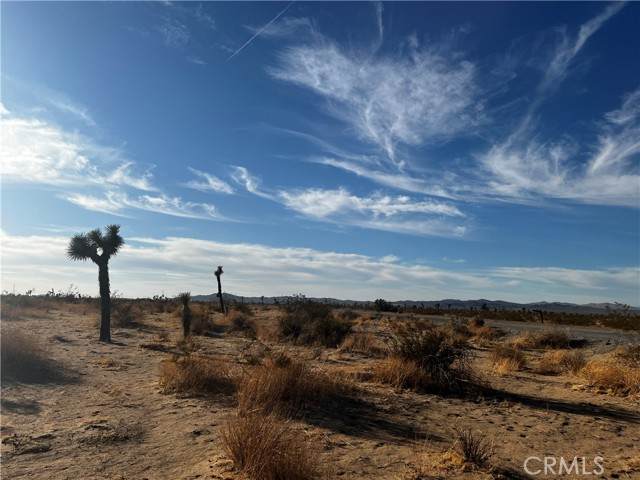 0 El Mirage - Photo 1