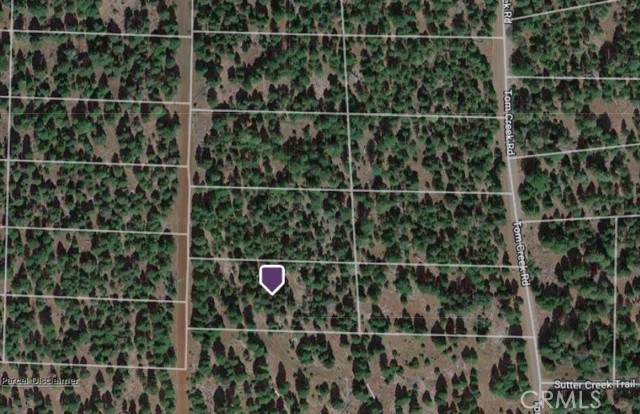 0 Lot 13 Block 19 - Photo 1
