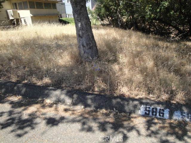 586 Silver Leaf - Photo 1