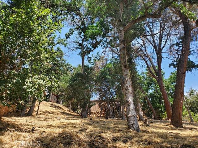 4668 40th - Photo 1