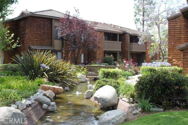 33852 Del Obispo Street - Photo 1