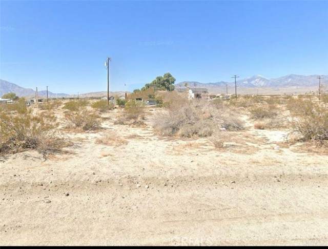 13075 Little Morongo - Photo 1