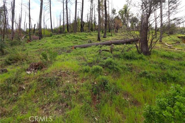 11541 Anderson Springs - Photo 1