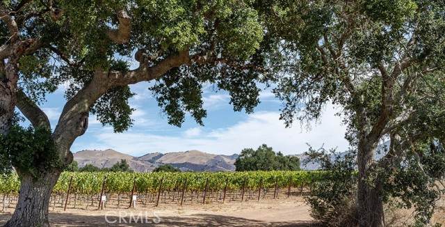 6893 Foxen Canyon - Photo 1