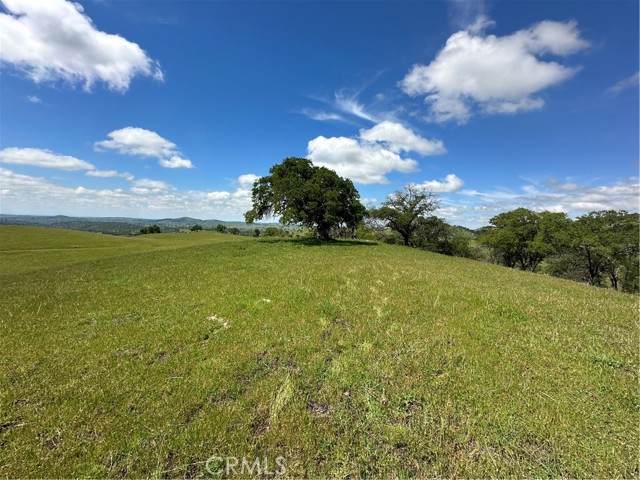 3869 Old Toll - Photo 1