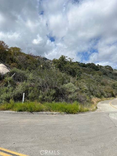 0 Carancho - Photo 1