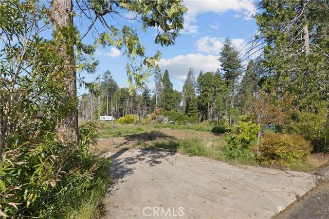 13959 Jarvis - Photo 1
