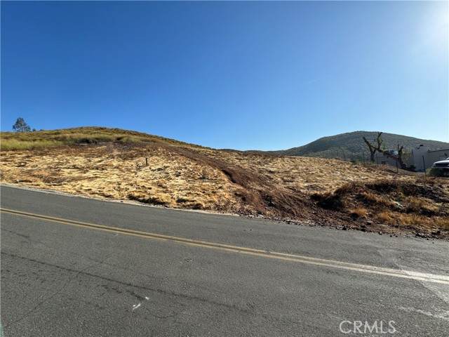 0 Las Flores #341-170-005 - Photo 1