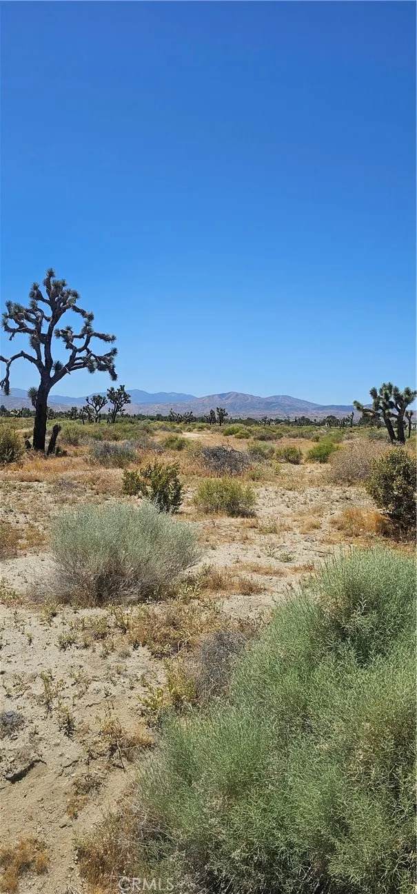 https://bt-photos.global.ssl.fastly.net/sandiego/orig_boomver_2_306183348-1.jpg
