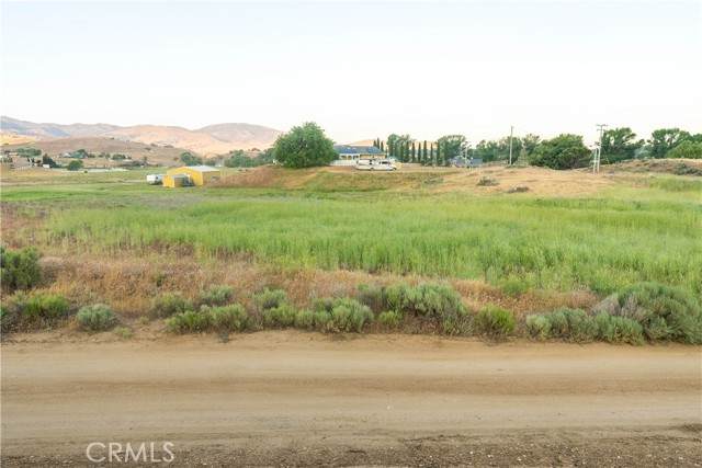 219 Lupine - Photo 1