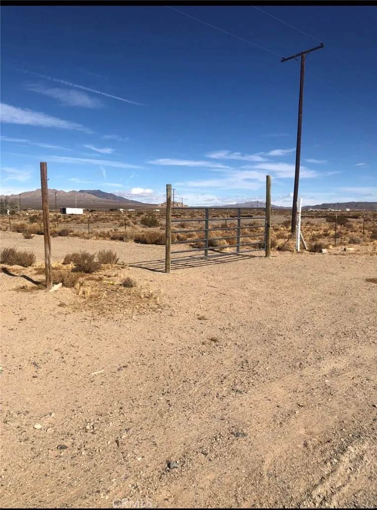 0 Squaw Bush - Photo 1