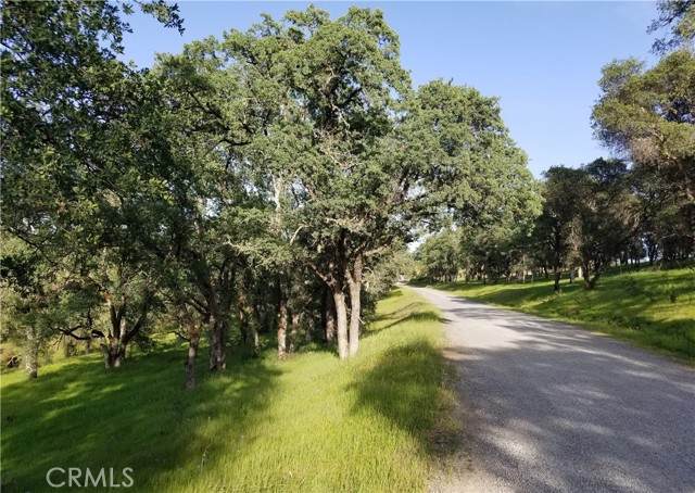 0 Bethridge Road - Photo 1