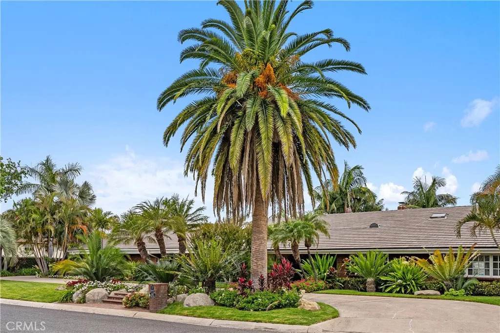 https://bt-photos.global.ssl.fastly.net/sandiego/orig_boomver_3_306335899-1.jpg