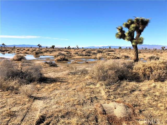 0 Avenue G-6 - Photo 1