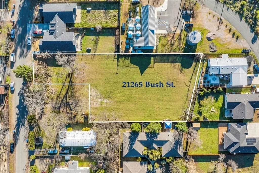 21265 Bush - Photo 1